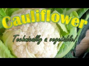 Cauliflower Ad, vegetable